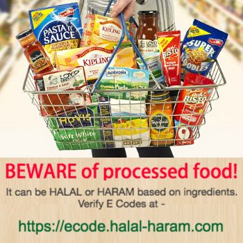 ecode.halal-haram.com